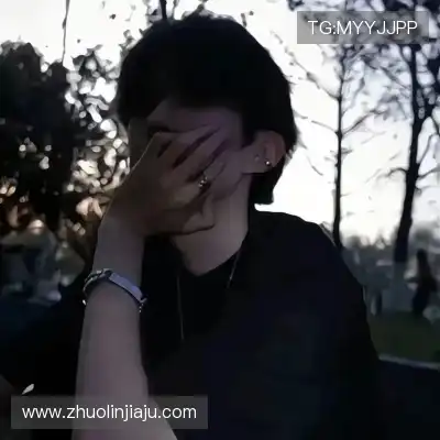 韦飚将